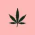 Expo Cannabis Argentina