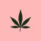 Expo Cannabis Argentina