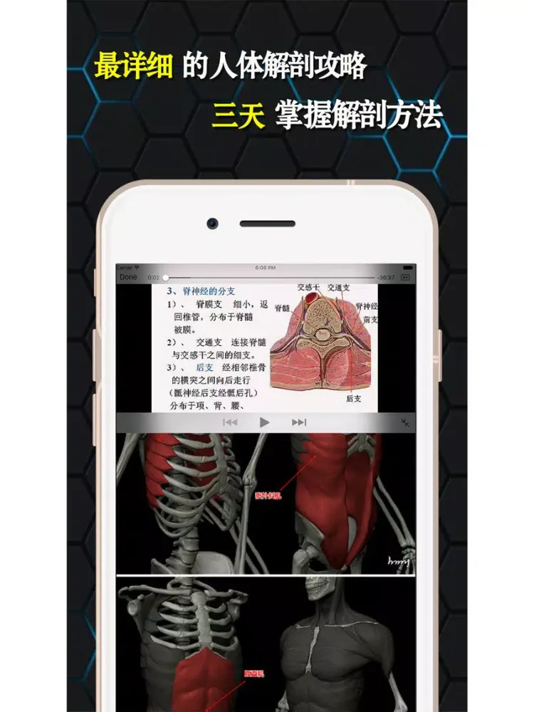 تصاویر 人体解剖和生理学-解剖图谱生物学考试必备 iPad 