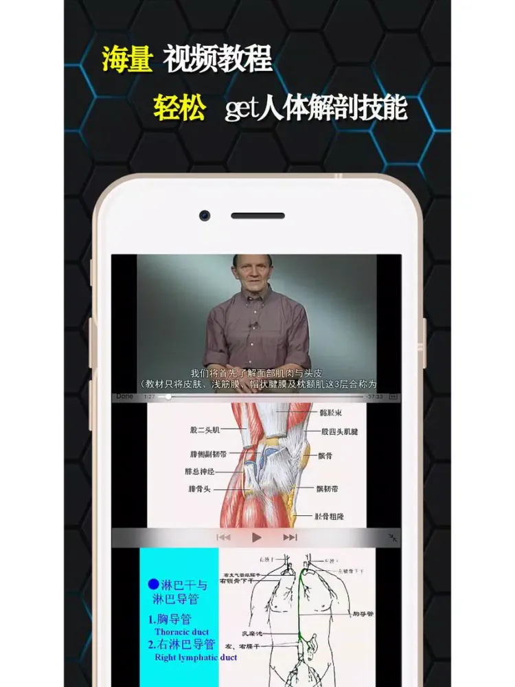 تصاویر 人体解剖和生理学-解剖图谱生物学考试必备 iPad 