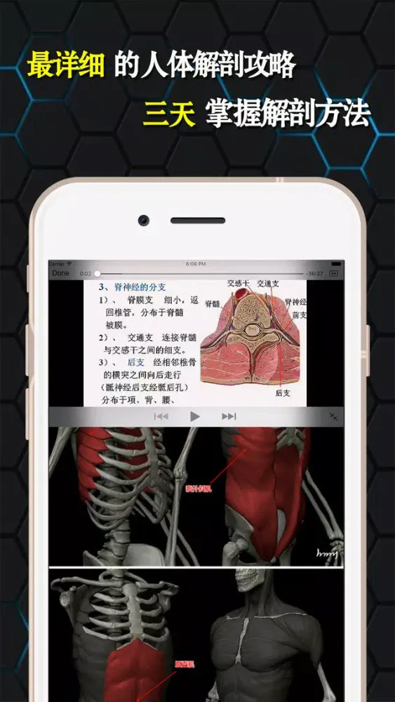 تصاویر 人体解剖和生理学-解剖图谱生物学考试必备