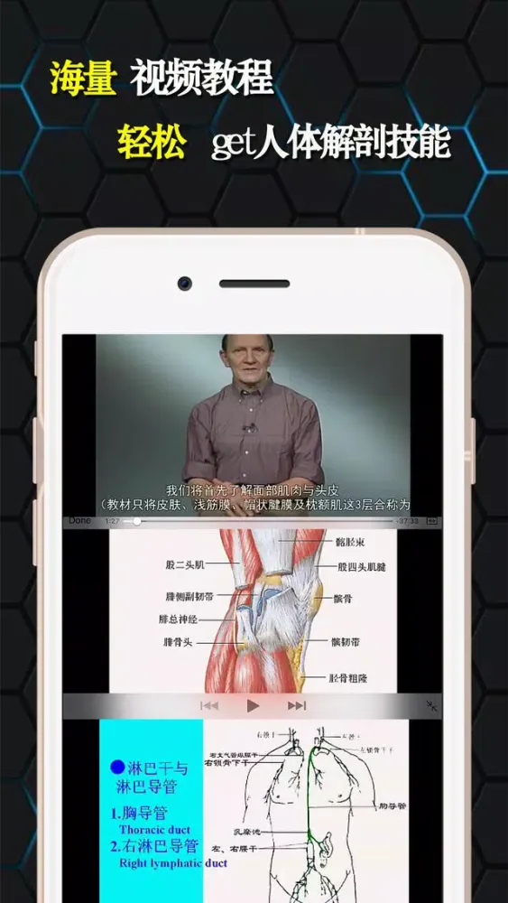 تصاویر 人体解剖和生理学-解剖图谱生物学考试必备