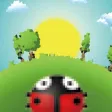 Freedom Ladybug Freedom Ladybug