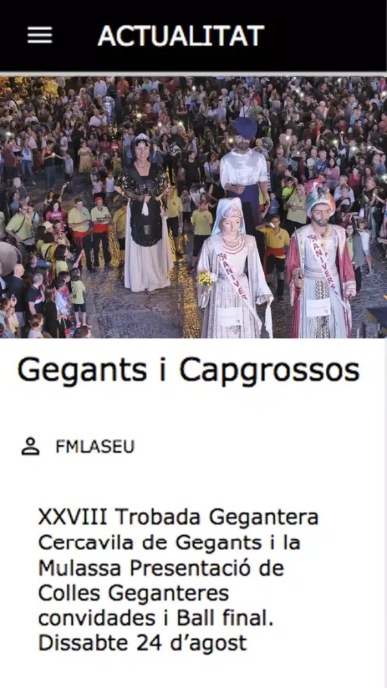 Festa Major la Seu Ekran Görüntüleri