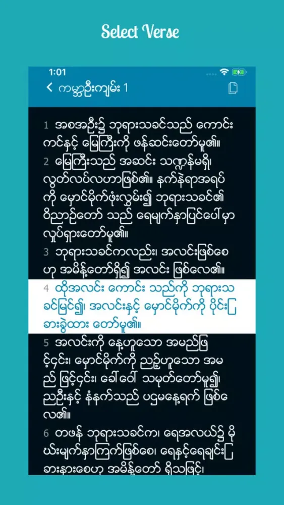 Myanmar Bible应用截图