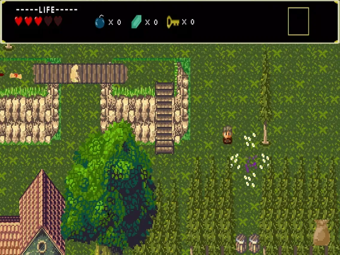 Capturas de tela do Choose Wisely... iPad 