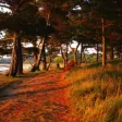 Beautiful Pictures Pro