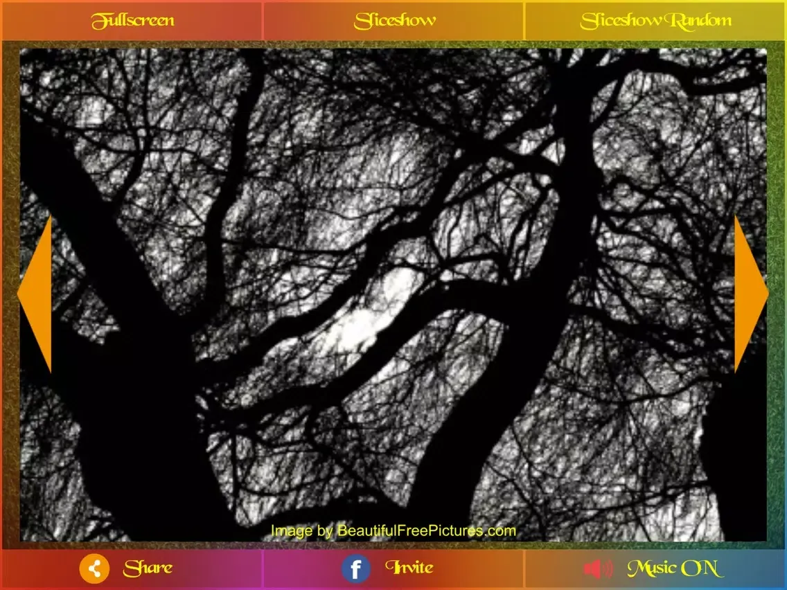 Beautiful Pictures Pro iPad  Ekran Görüntüleri