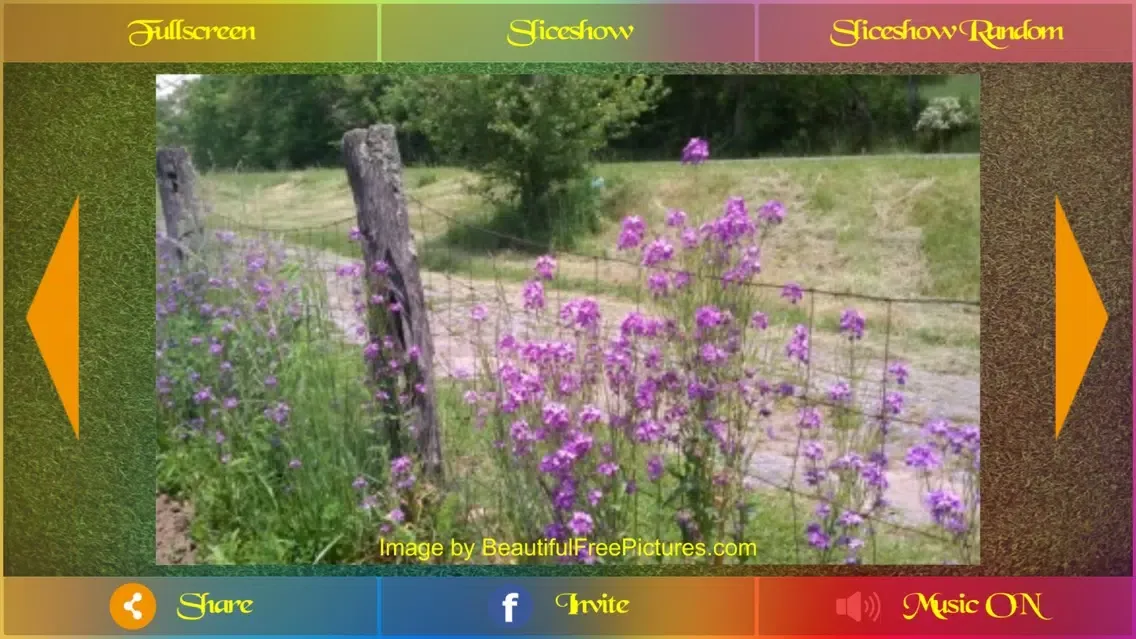 Beautiful Pictures Pro Ekran Görüntüleri