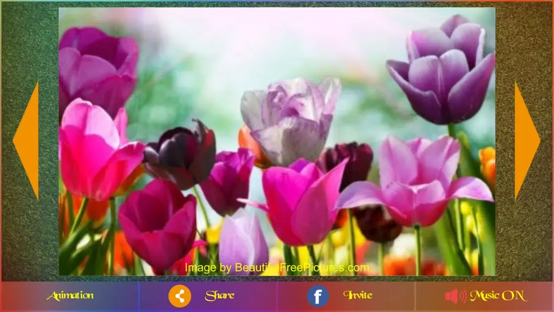 Picture Animation Pro 스크린샷