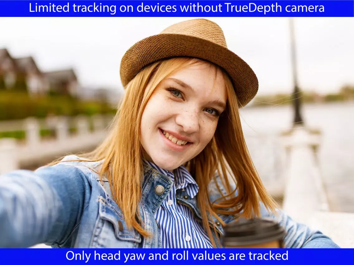 KinoTracker - PC Head Tracker iPad  스크린샷