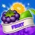 Jungle Paradise - Fruit Frenzy Match 3