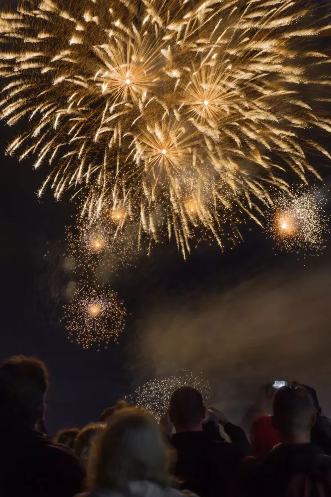 Screenshot di Happy New Year Wallpaper HD