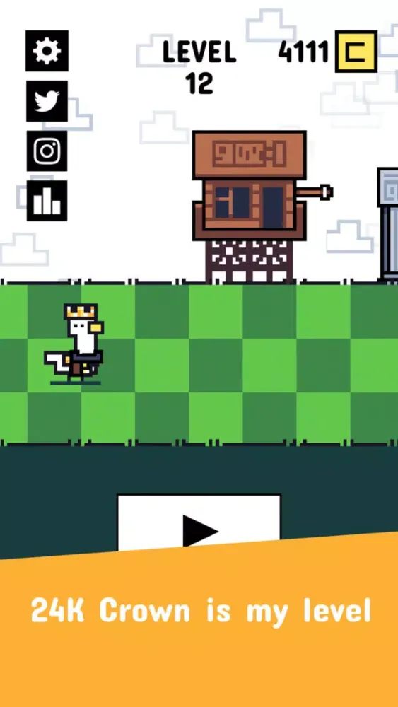 تصاویر 24K Duck