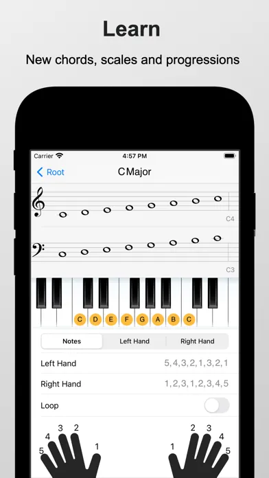 Piano Chords and Scales Screenshots