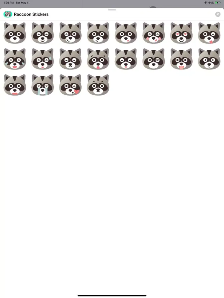 تصاویر Raccoon Cartoon Stickers iPad 