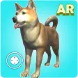 Dog play Ar