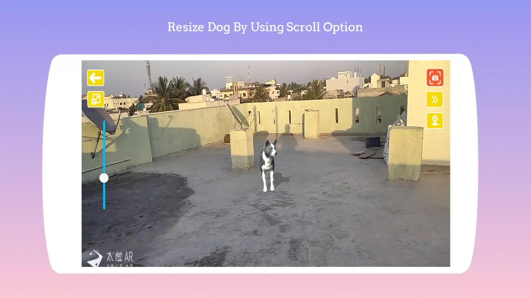 Dog play Ar Screenshots