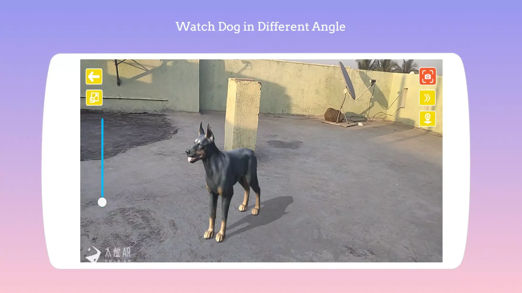 Dog play Ar Screenshots