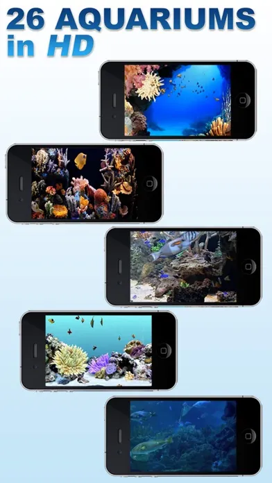 Aquariums Fireplaces AIR RELAX স্ক্রিনশট