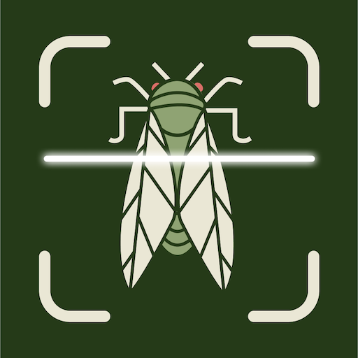 Insect Bug Identifier App Insect Bug Identifier App