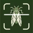 Bug Insect Identifier