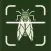 Bug Insect Identifier