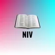Holy Bible NIV Bible