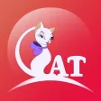 Meow - Puss N' Toots