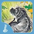 Kia Taurite / Hairy Maclary Matching Pairs Kia Taurite / Hairy Maclary Matching Pairs