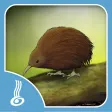 He Kīrehe Māori / Native Animals