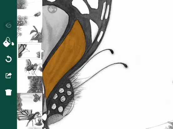 Willbee the Bumblebee iPad  Screenshots