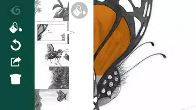 صور Willbee the Bumblebee