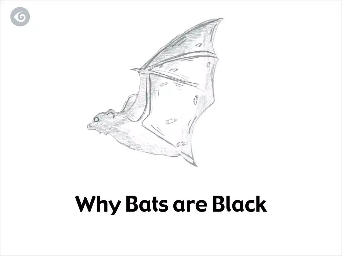 Zrzuty ekranu Why Bats are Black iPad 