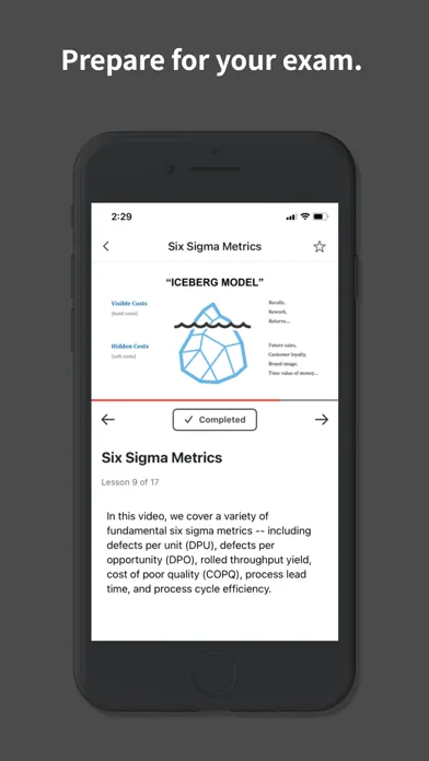 Ảnh chụp màn hình của Six Sigma Society