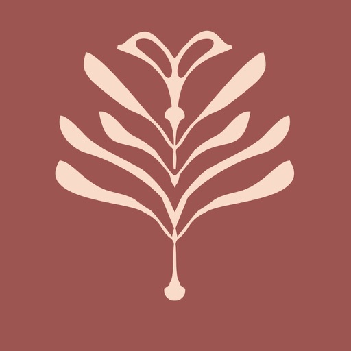 Veksler Face Fitness System