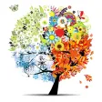 Four Seasons HD Wallpapers