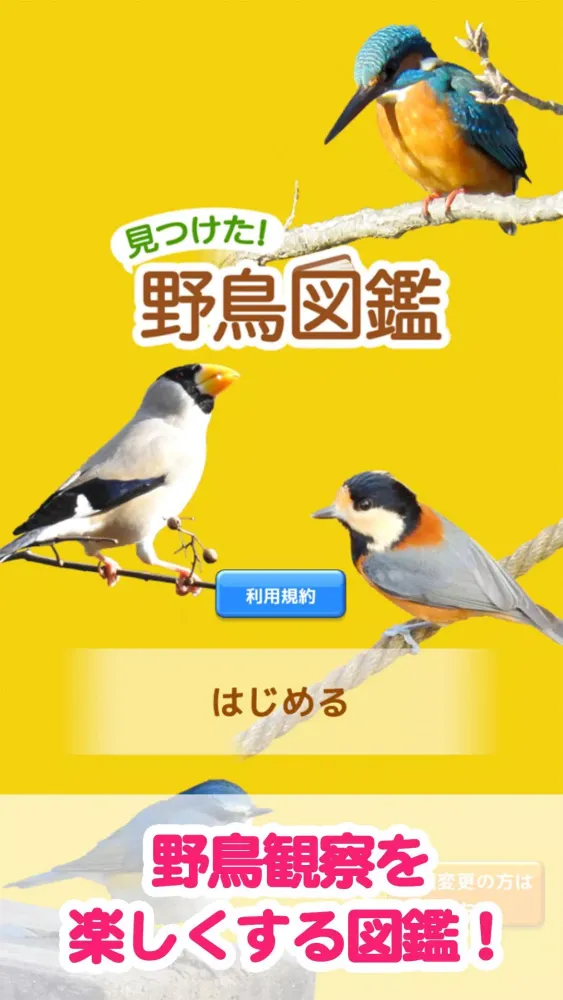 Capturas de tela do 見つけた！野鳥図鑑
