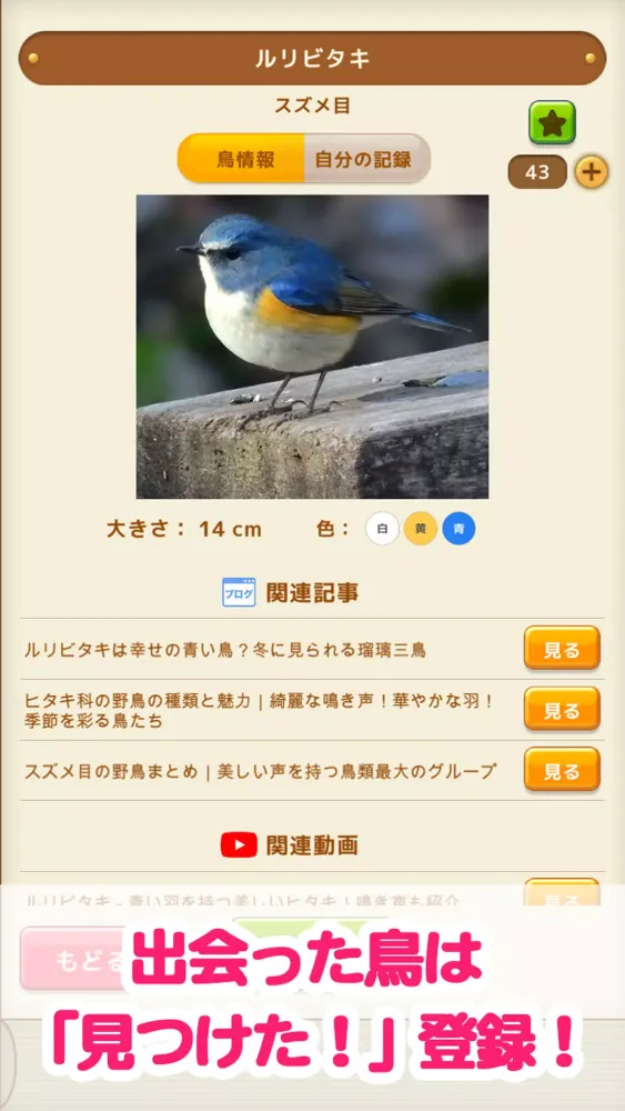 Capturas de tela do 見つけた！野鳥図鑑