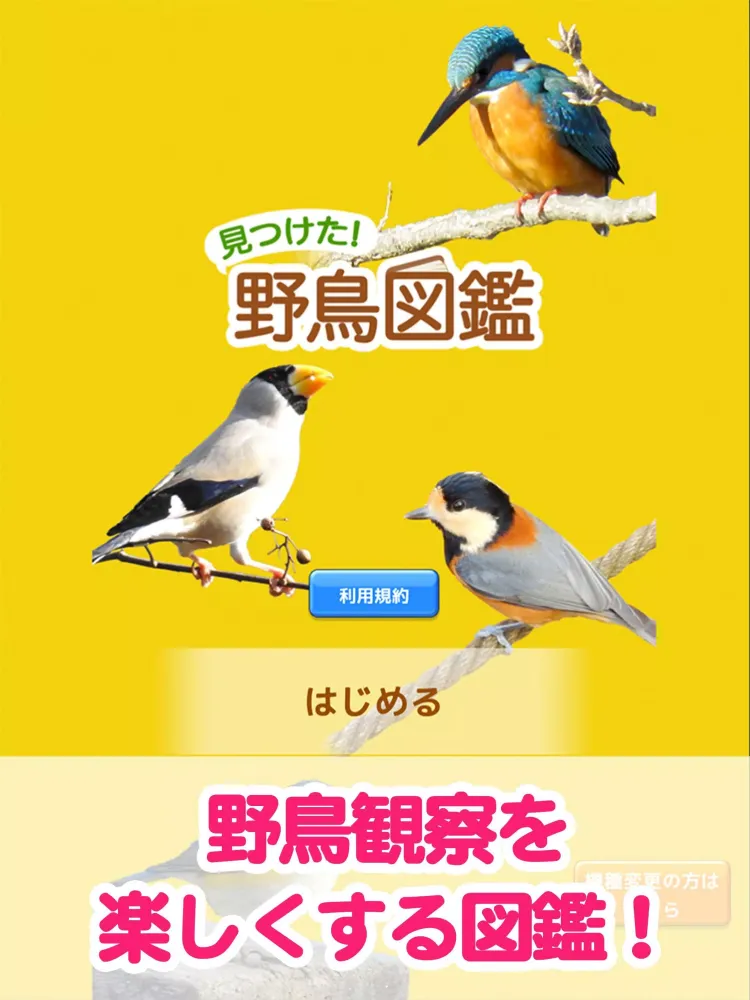 Capturas de tela do 見つけた！野鳥図鑑