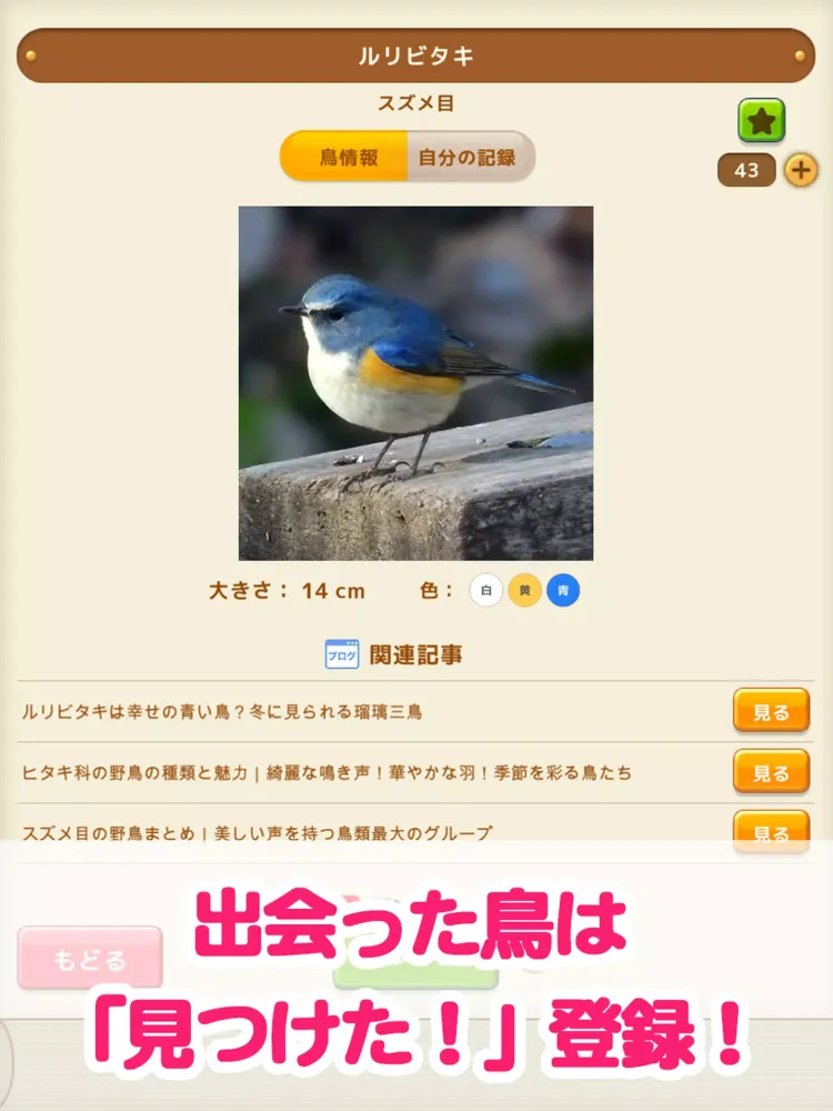 Capturas de tela do 見つけた！野鳥図鑑