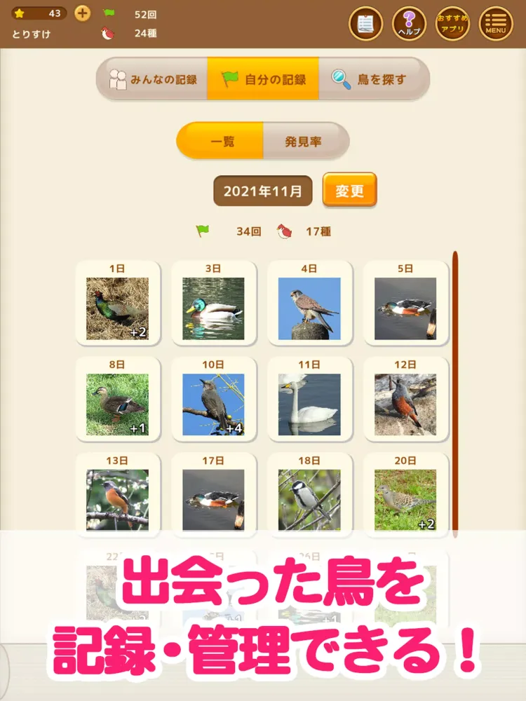 Capturas de tela do 見つけた！野鳥図鑑