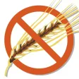 Gluten Free Recipes Plus+