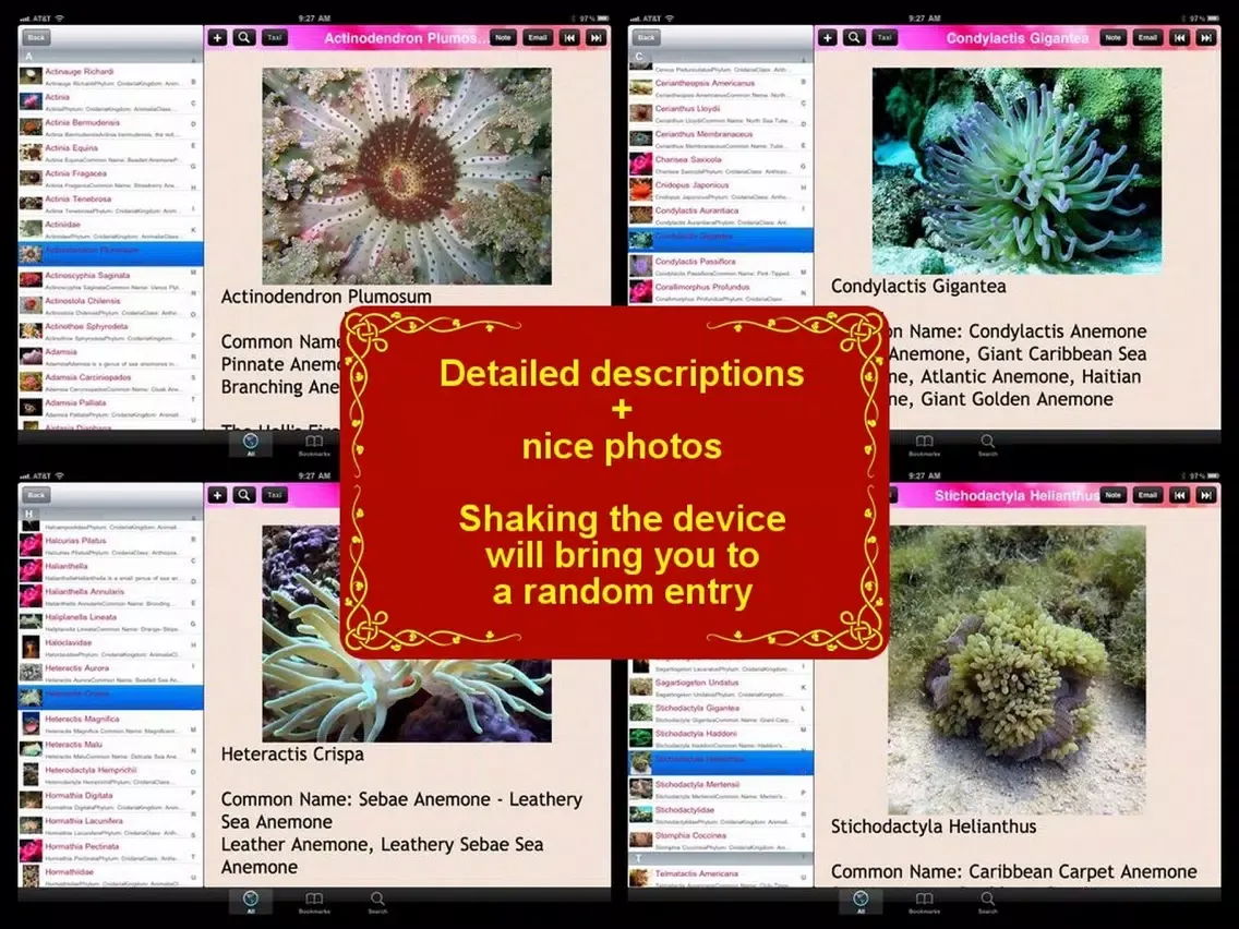 Sea Anemone Bible iPad  Screenshots