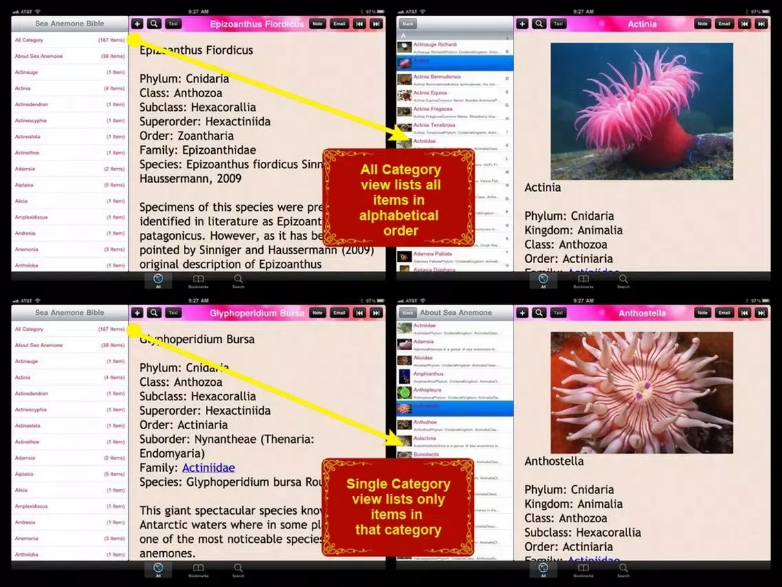 Sea Anemone Bible iPad  Screenshots
