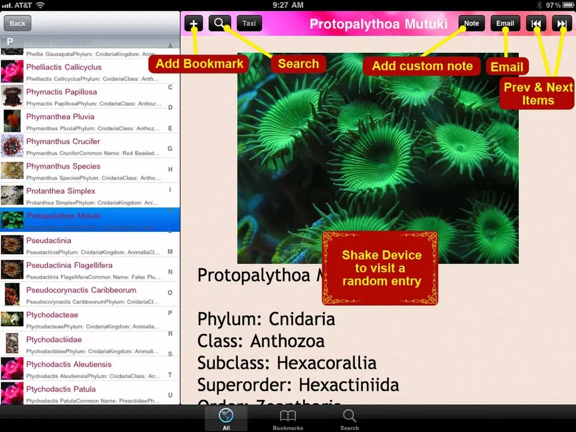 Sea Anemone Bible iPad  Screenshots