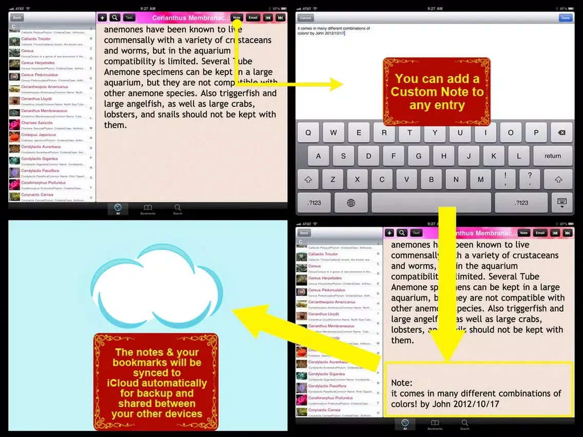 Sea Anemone Bible iPad  Screenshots