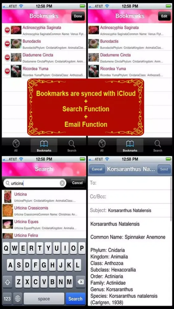 Sea Anemone Bible Screenshots