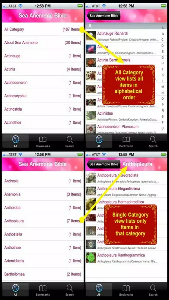 Sea Anemone Bible Screenshots