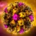 Virus Encyclopedia